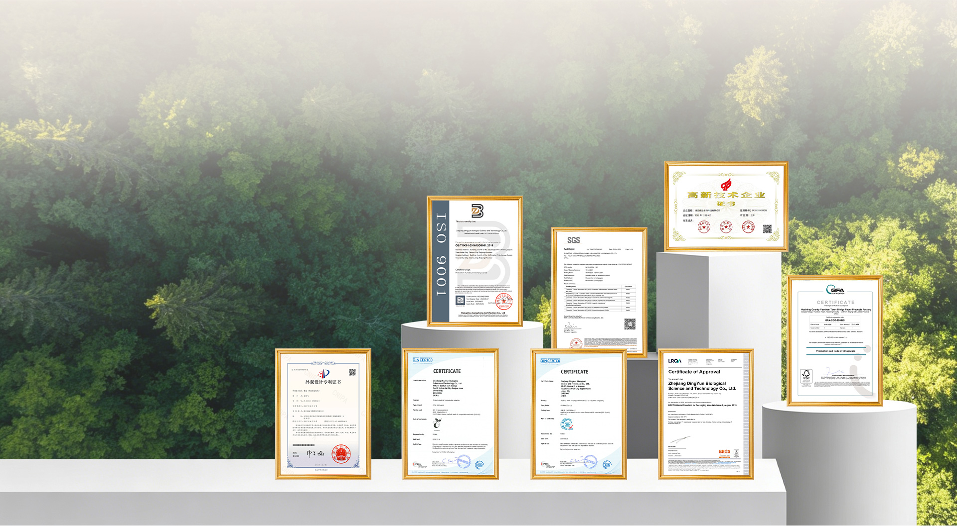Taizhou Dingyun Paper & Plastic Co., Ltd.