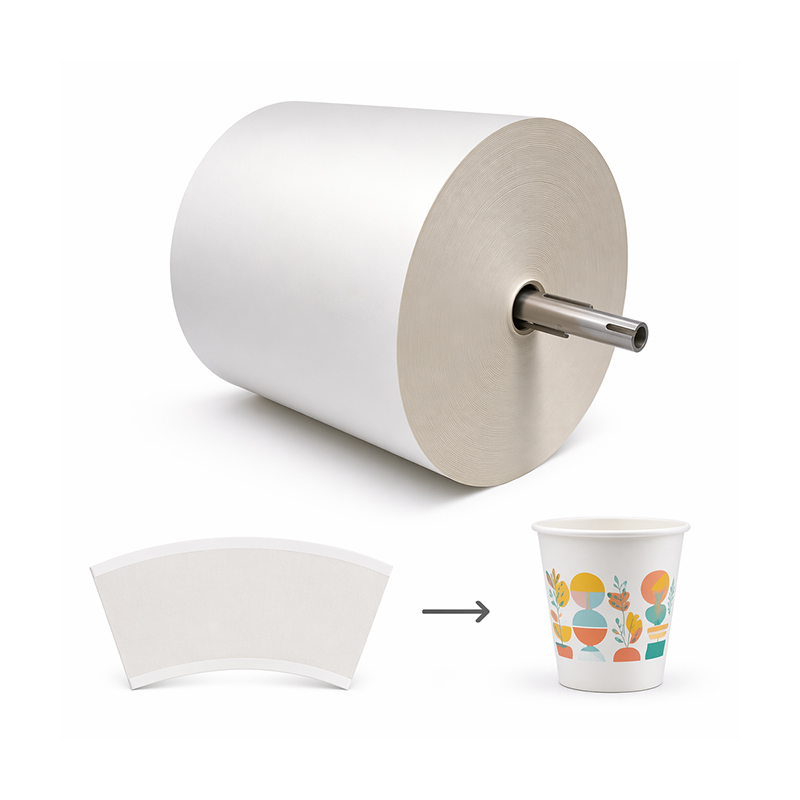 Taizhou Dingyun Paper & Plastic Co., Ltd.